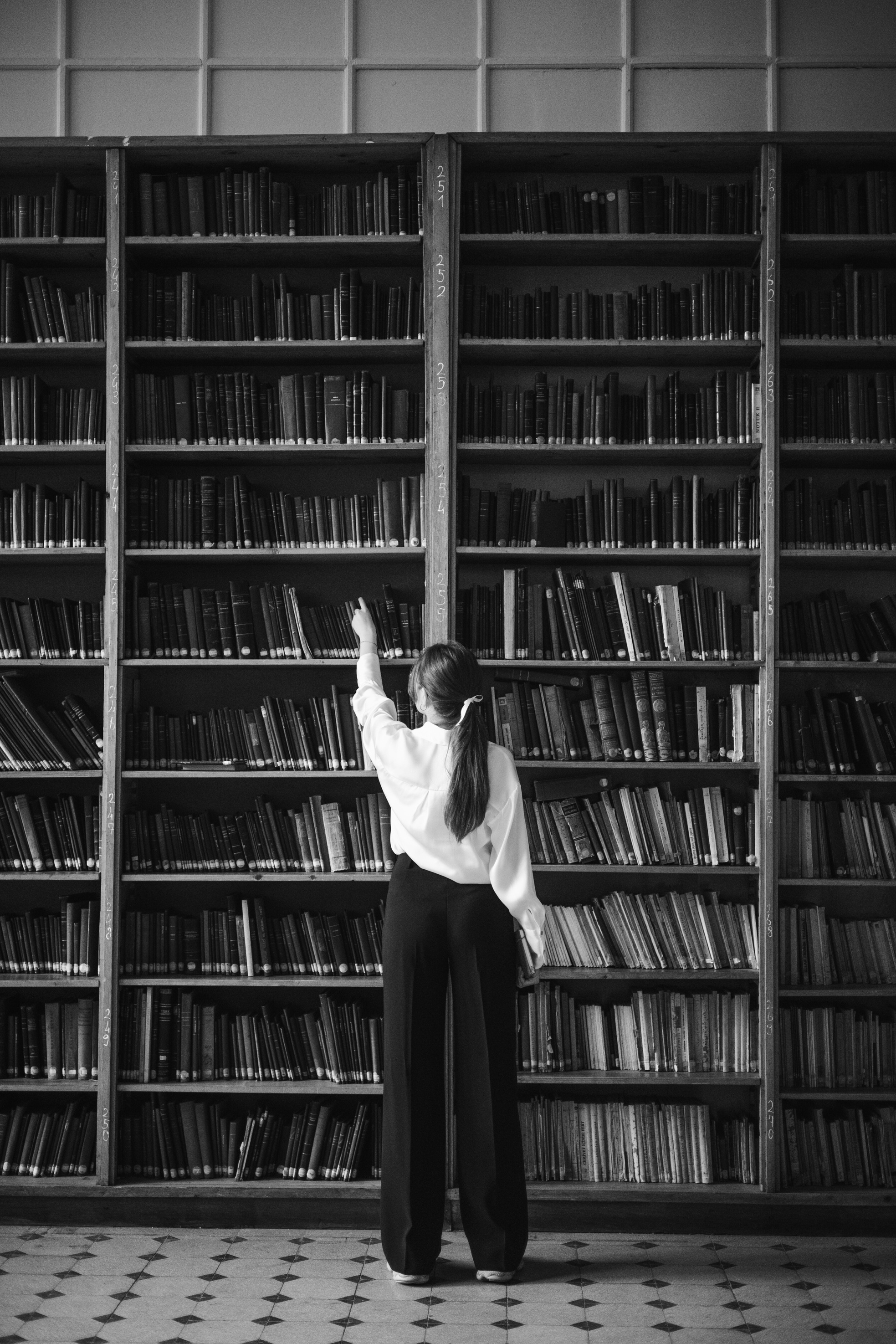 Bookshelves in a library